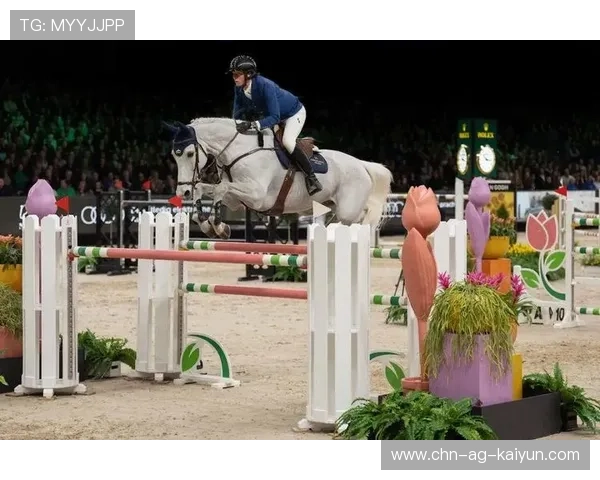 荷兰马术协会举办国际马术科技大会，推动行业技术交流与合作。